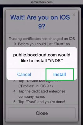 iNDS for iOS 11
